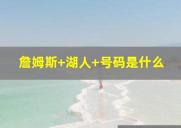 詹姆斯 湖人 号码是什么